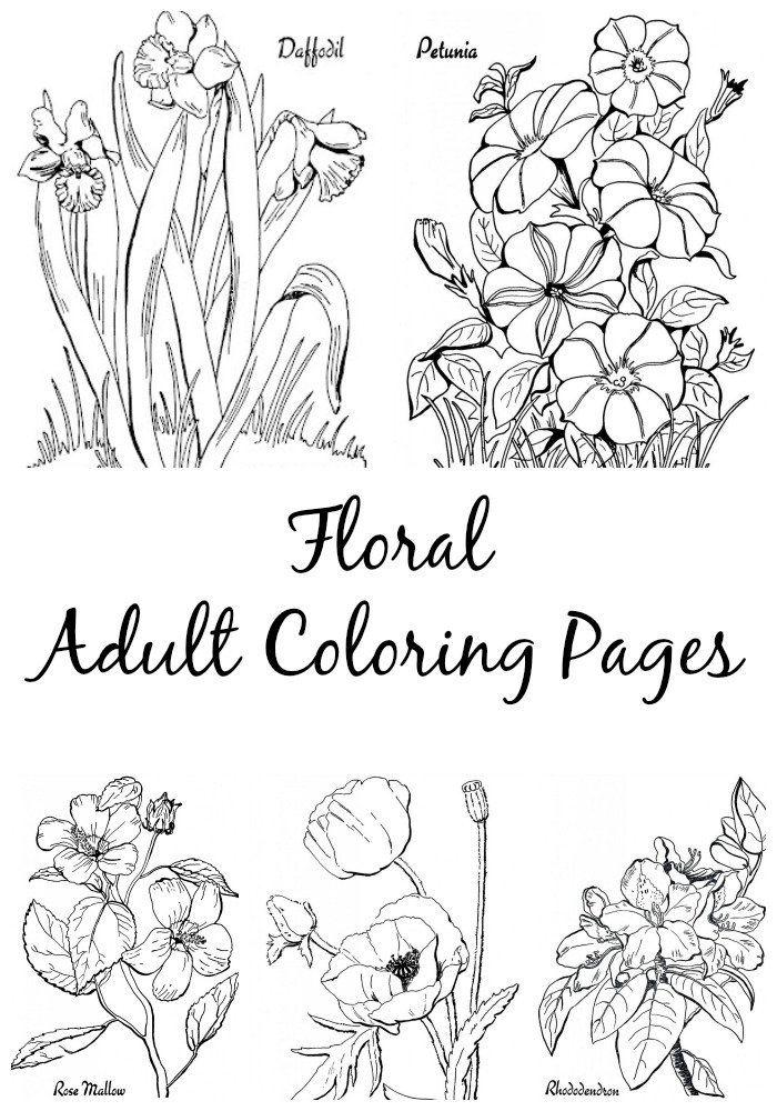 Flower coloring pages for adults