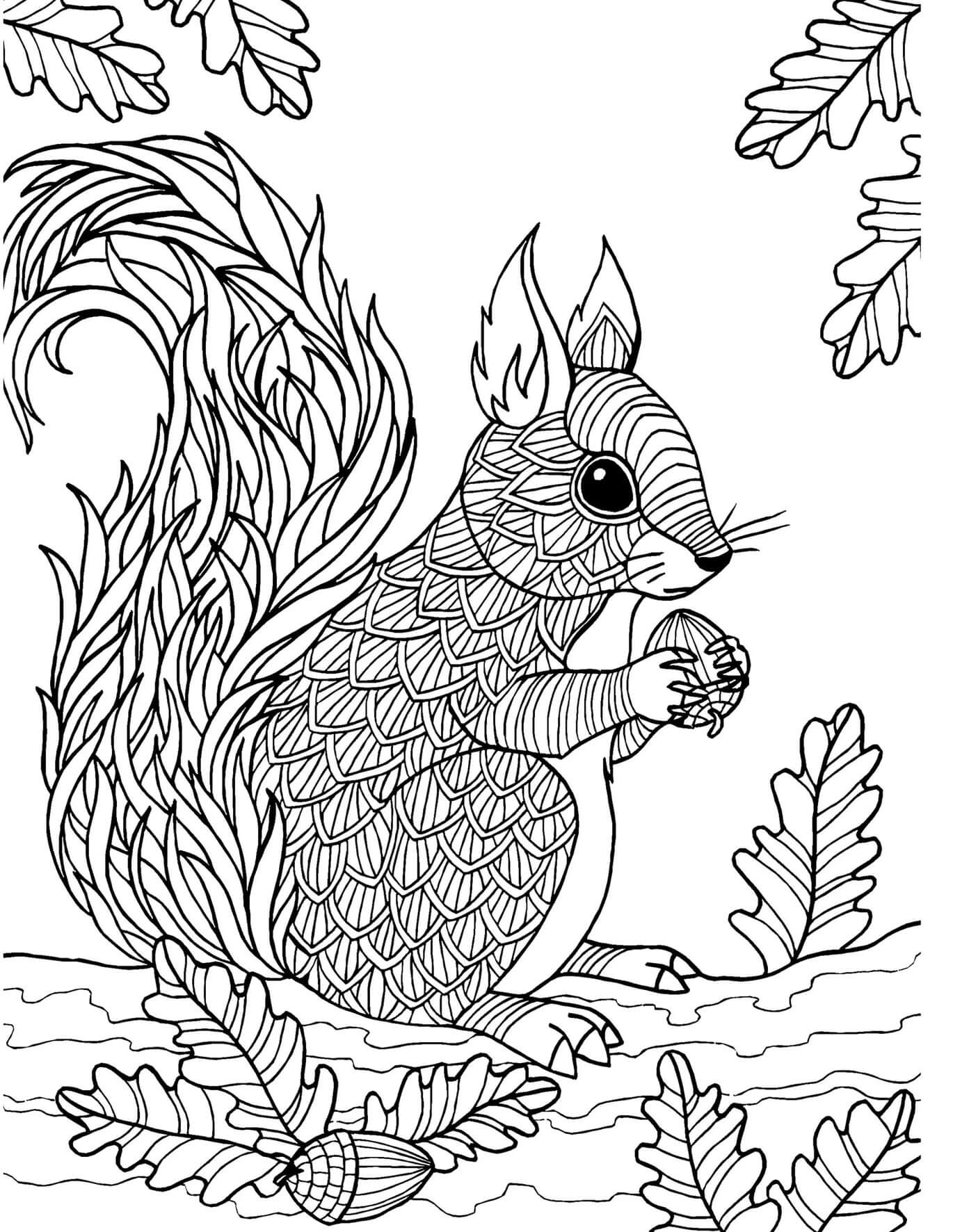 Squirrel holding acorn on branch tree mandala coloring page