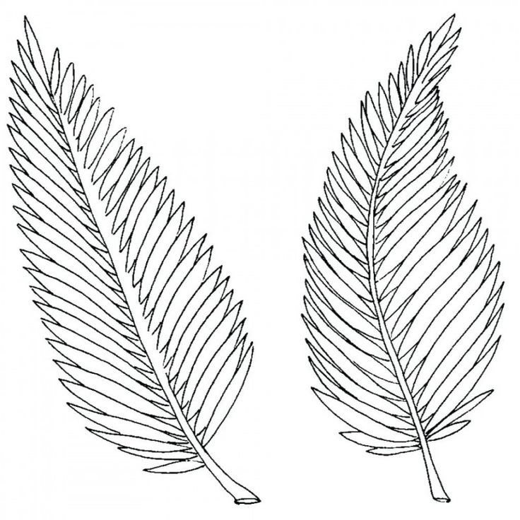 Blank stem and leaf plot template awesome leaf template with lines ideas exceptional blank writing leaf coloring page leaf template coloring pages