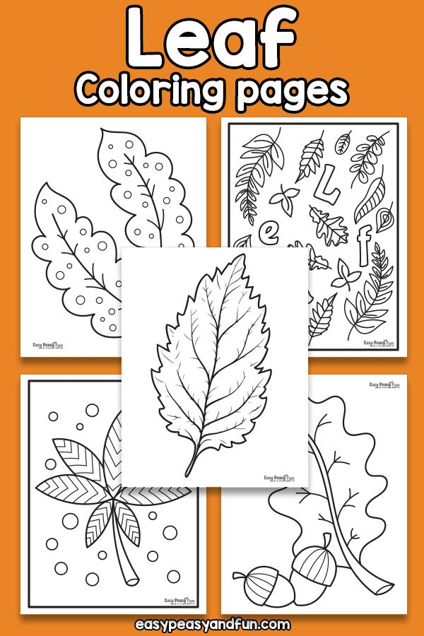 Printable leaf coloring pages â sheets