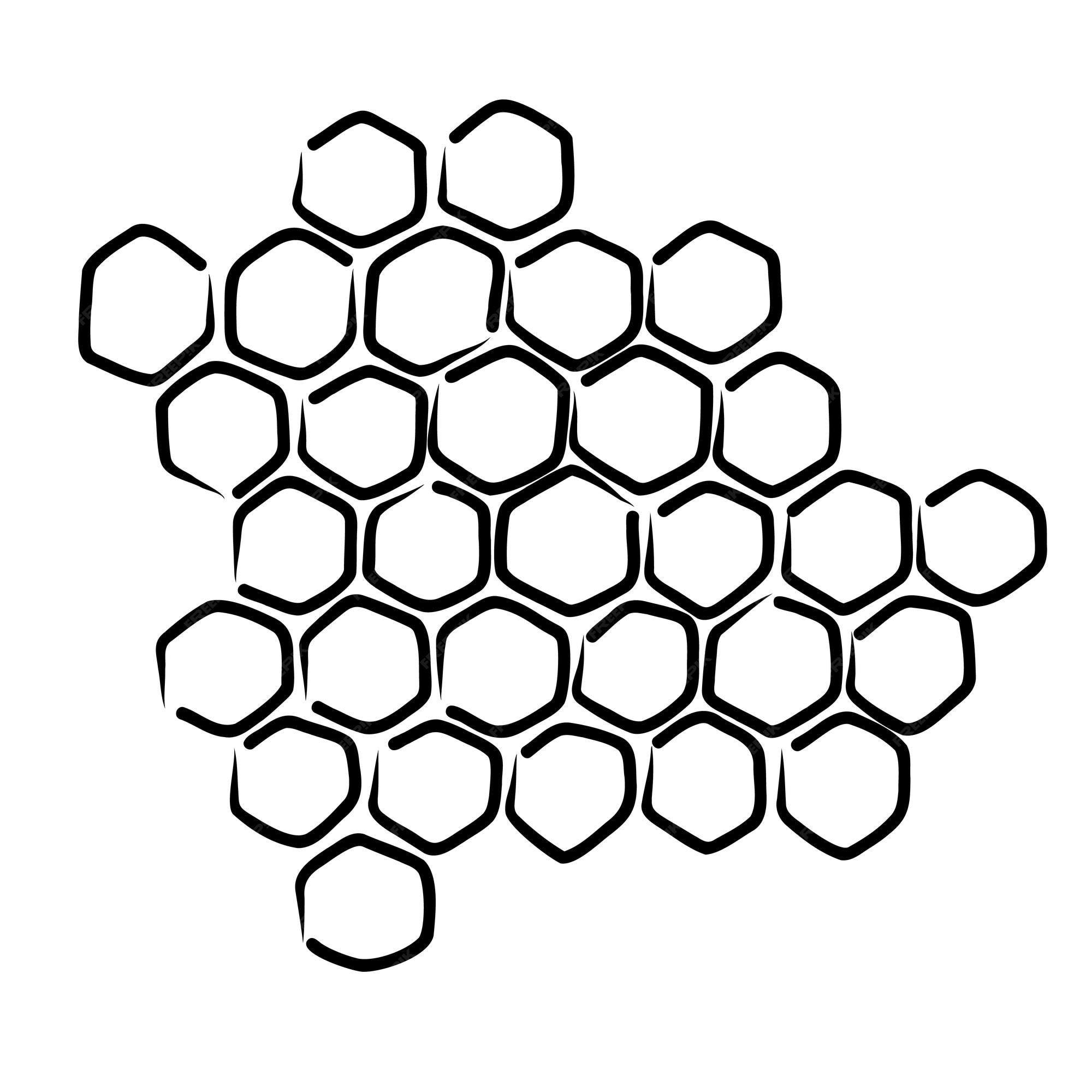 Premium vector honeyb propolis doodle sketch hand drawn honey b sketch cell b structure natural organic