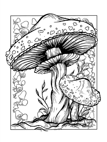 Stoner coloring book digital â monsoon publishing usa