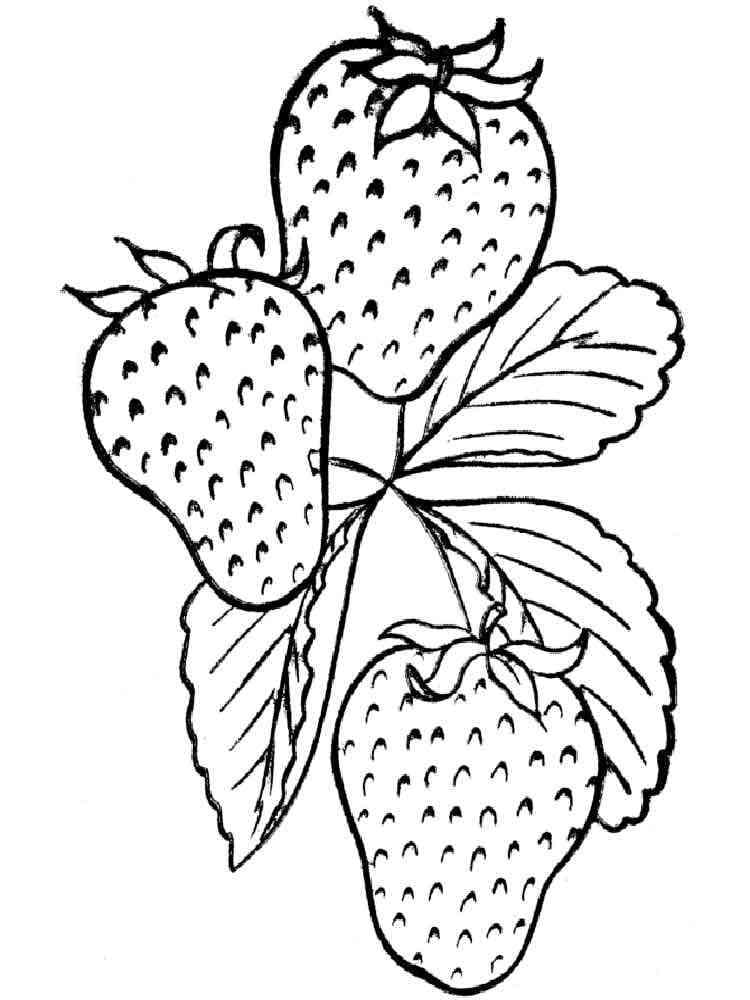Strawberries drawing coloring page