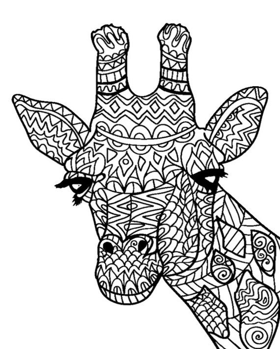 Printable adult coloring pages stress relief coloring digital download