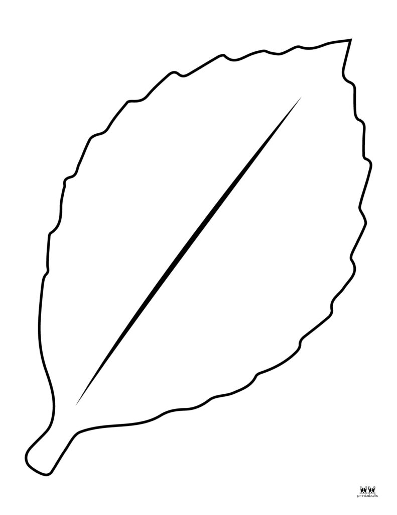 Leaf outlines templates coloring pages