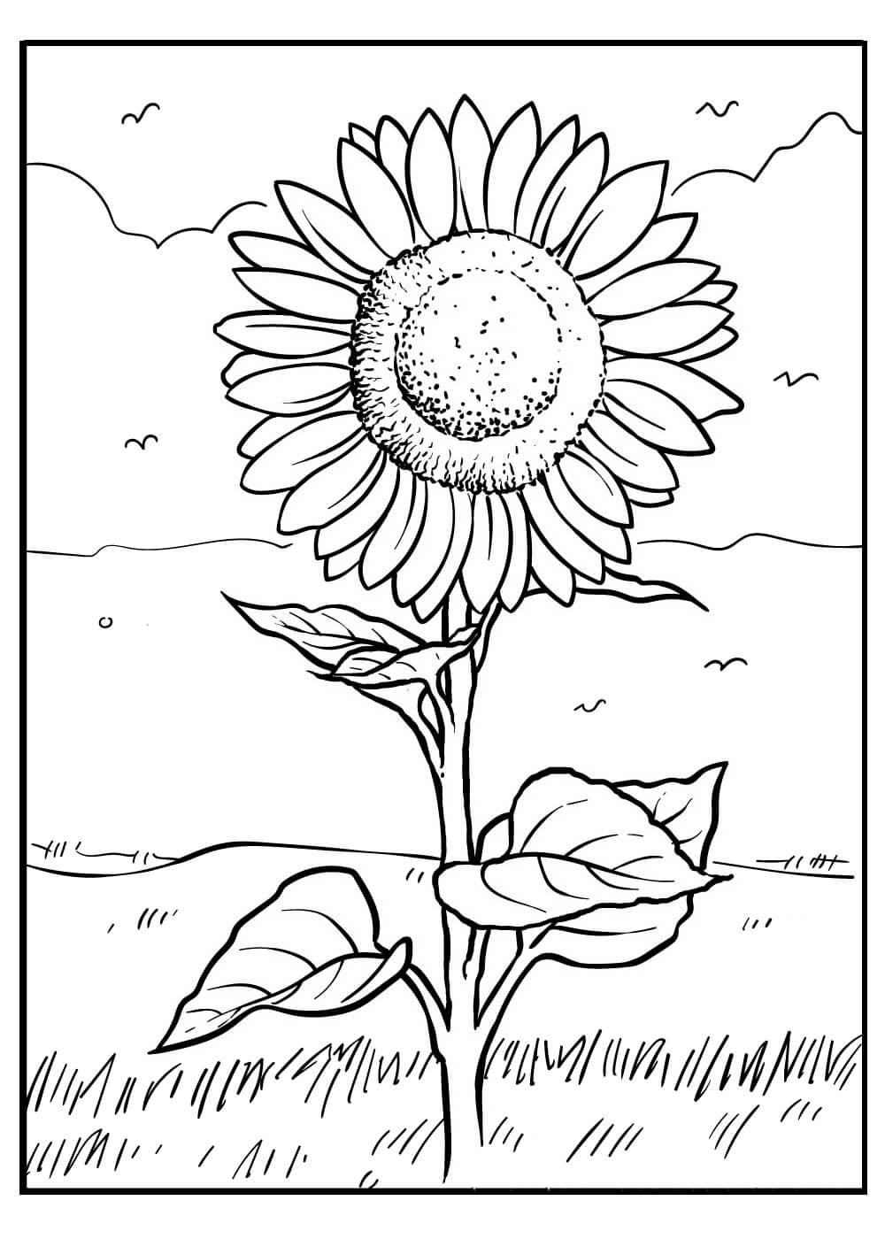 Sunflower with leaves coloring page