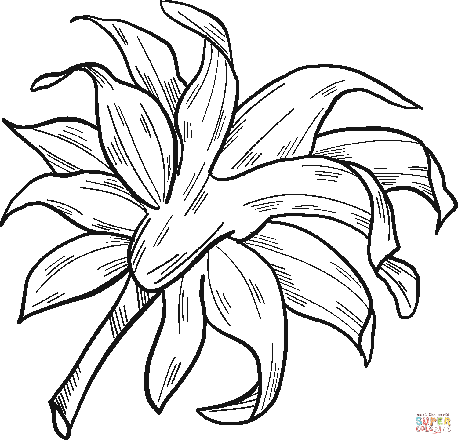 Sunflower leaves coloring page free printable coloring pages
