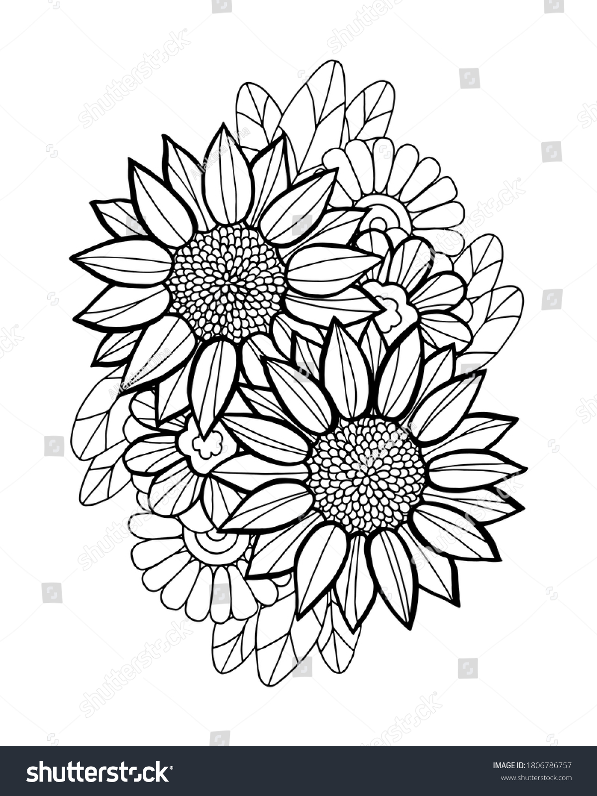 Outline vector illustration sunflowers flowers leaves stock vector royalty free