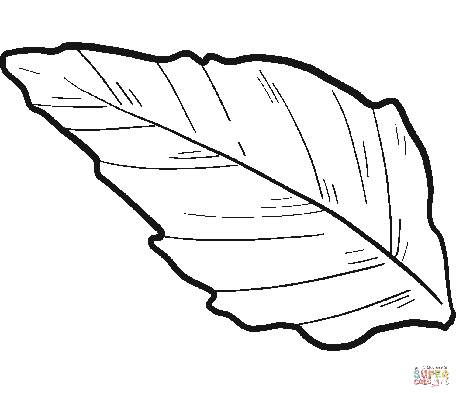 Sunflower leaf coloring page free printable coloring pages