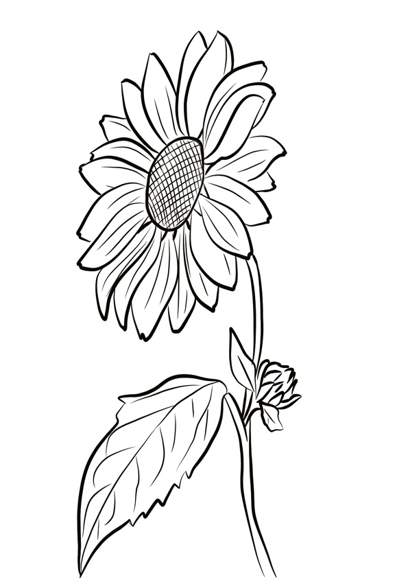 Coloring pages sunflower with leaf coloring page