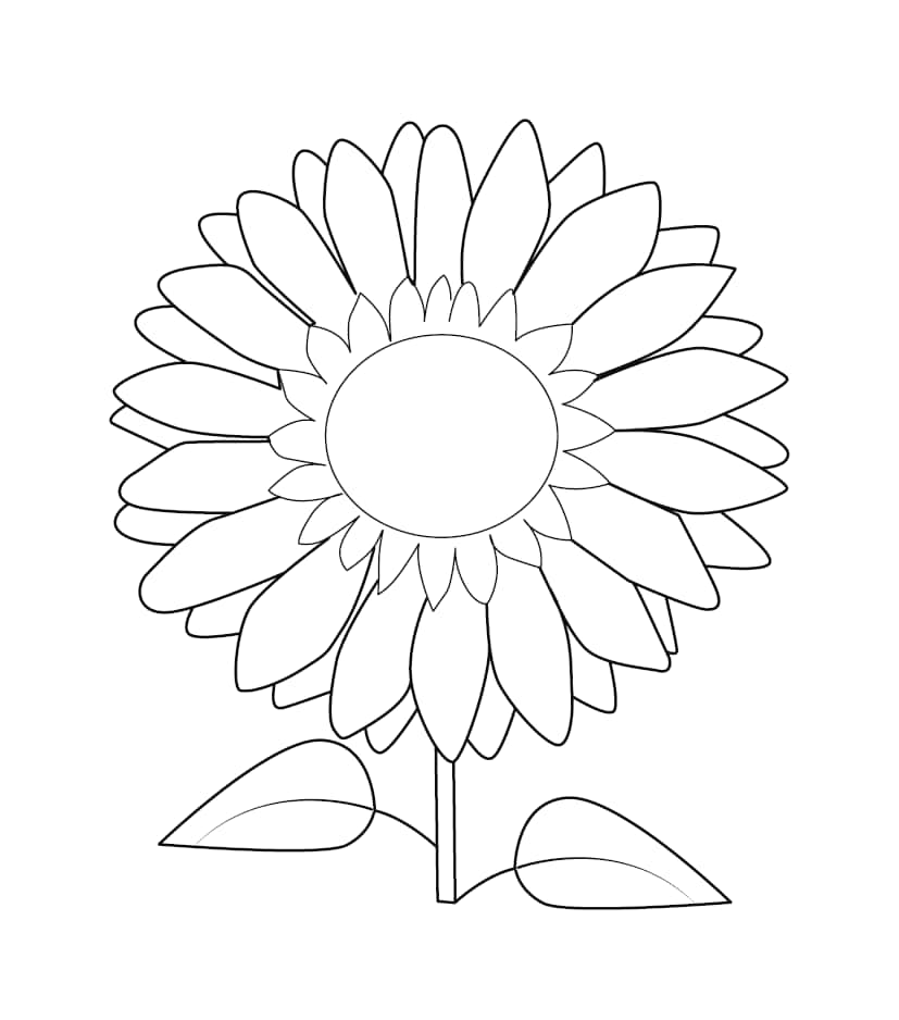 Download a sunflower coloring page with a leaf on it