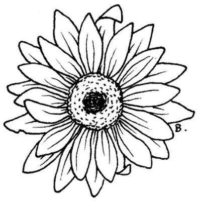 Sunflower leaf template
