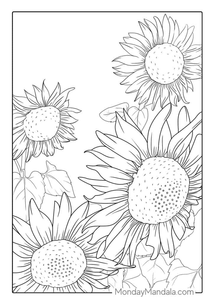 Sunflower coloring pages free pdf printables