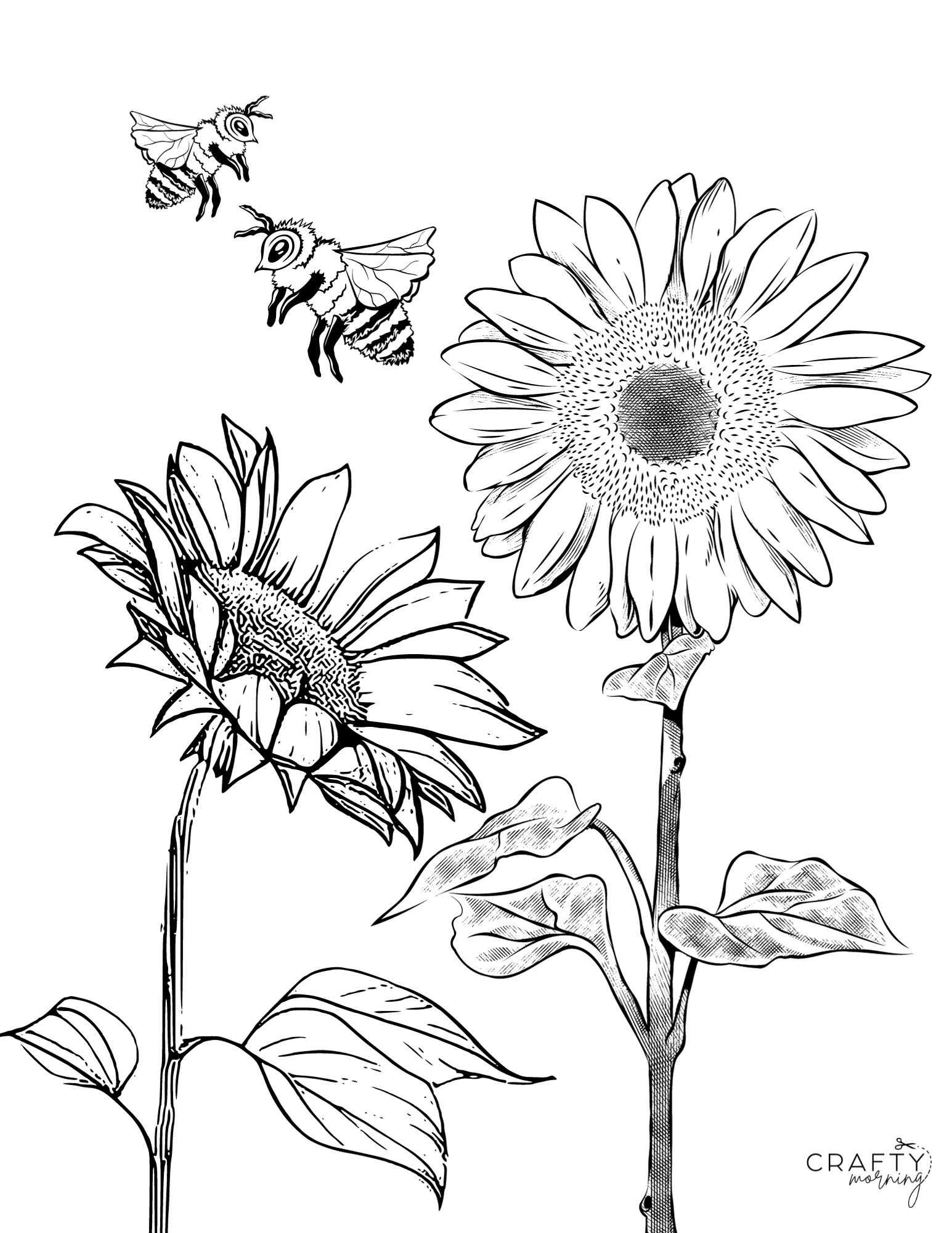 Free printable sunflower coloring pages