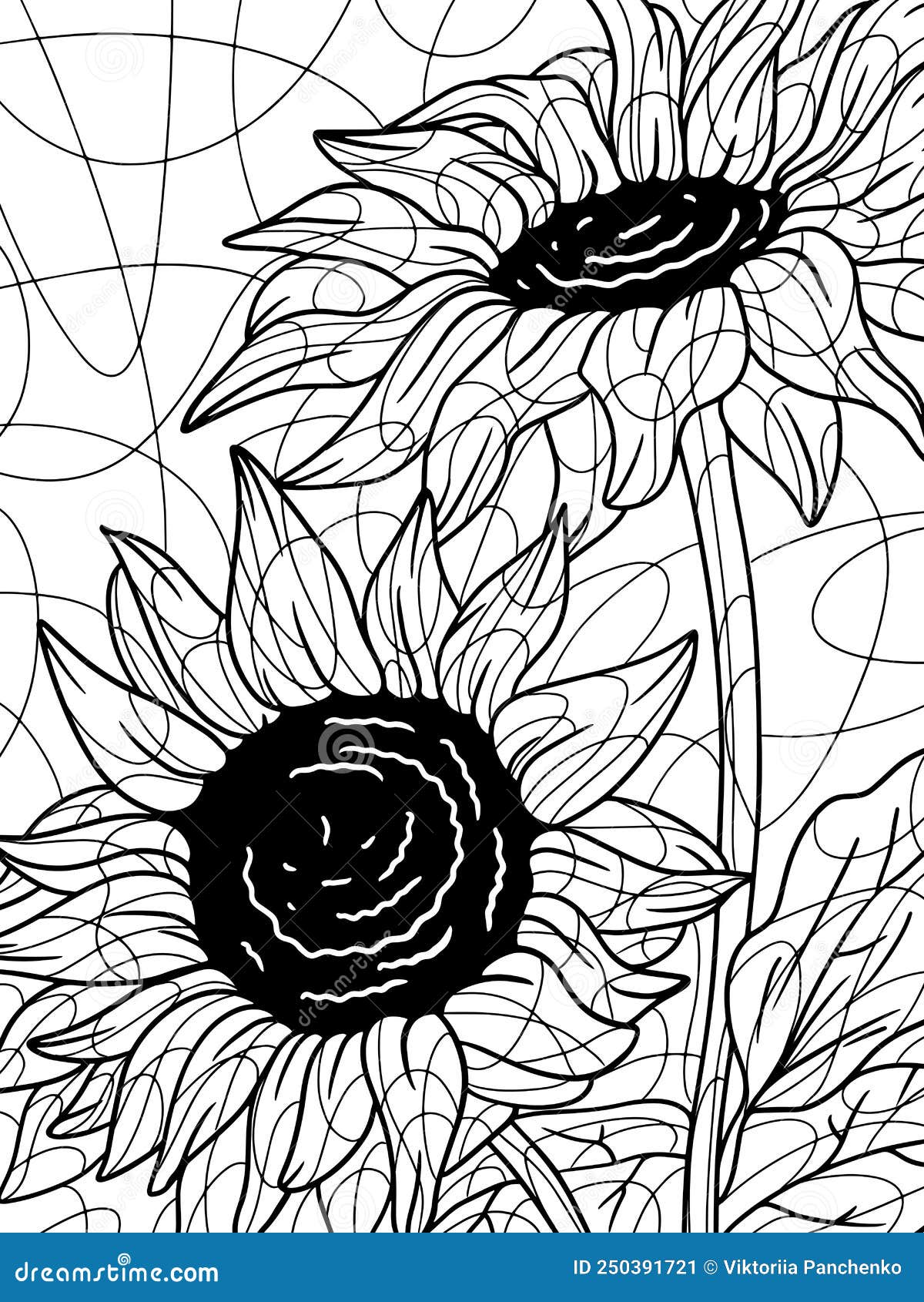 Coloring sunflower plant flower outline full page page outline of cartoon zen