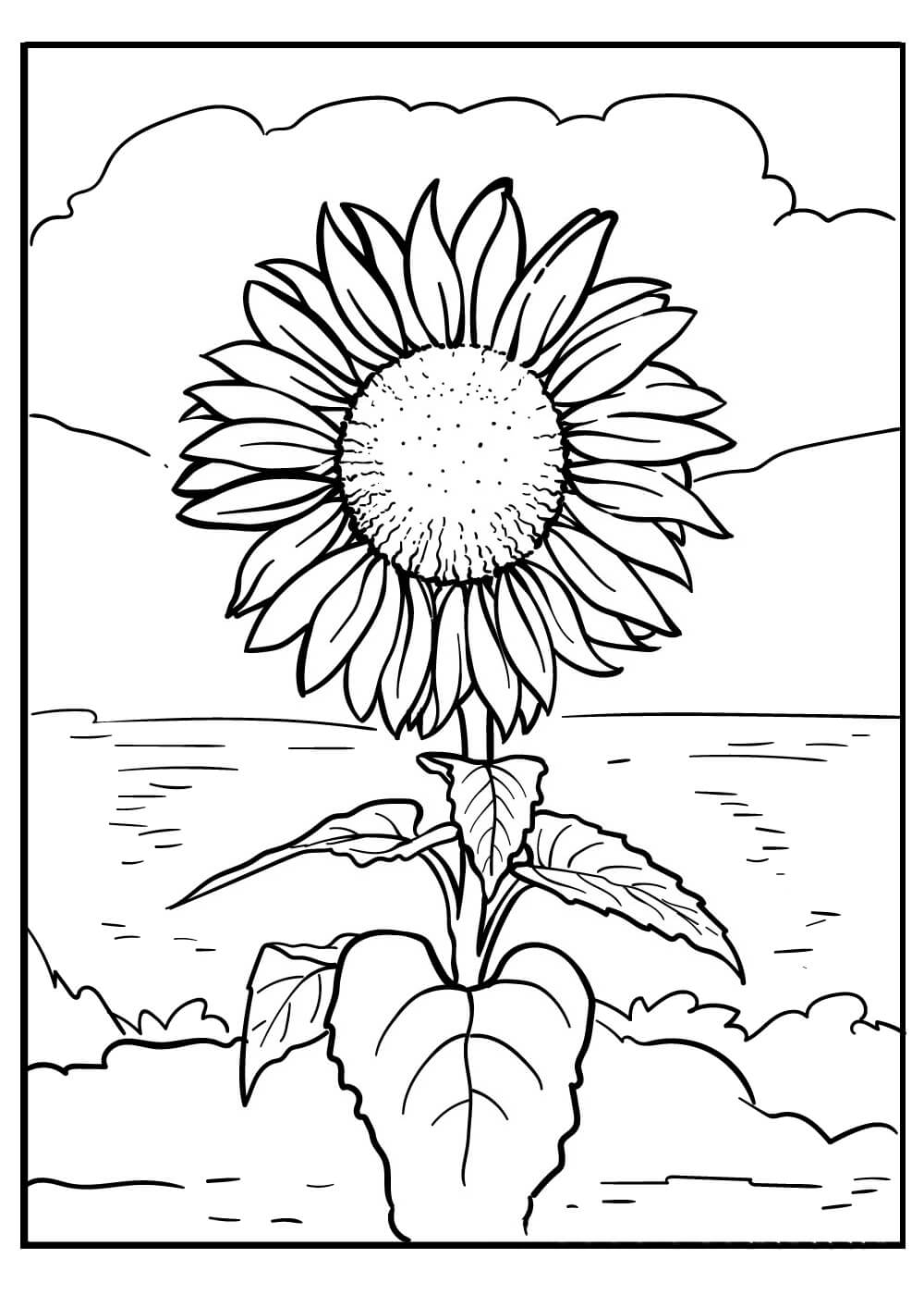 Sunflower on the beach coloring page