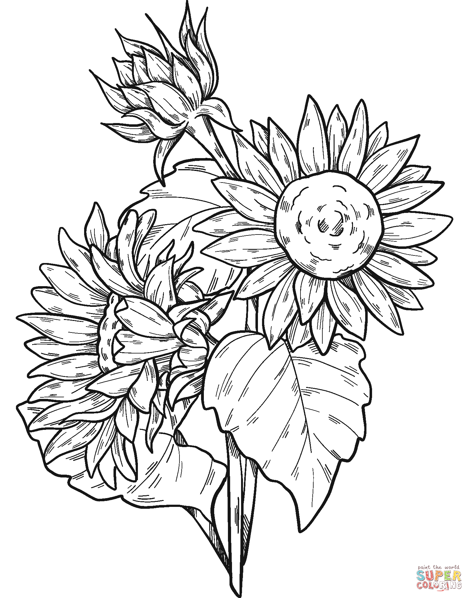 Sunflowers coloring page free printable coloring pages