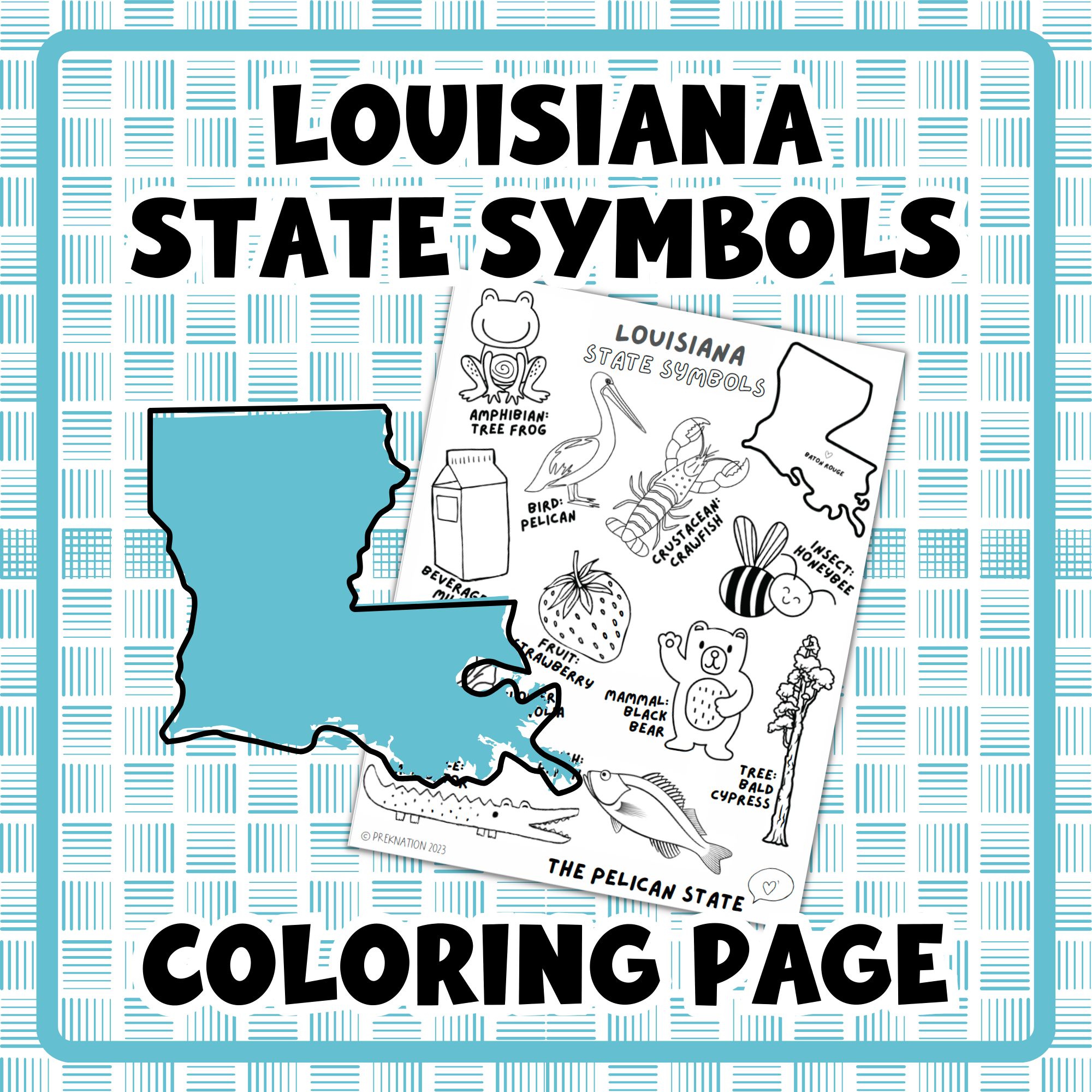 Louisiana state symbols coloring page state unit social studies activity made by teachers