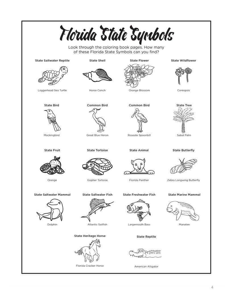 Florida bucket list coloring book