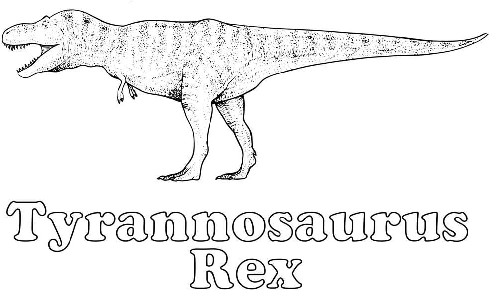 Tyrannosaurus rex dinosaur t rex coloring poster for nland
