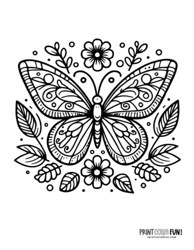 Butterfly coloring pages clipart collection with both easy plex designs at