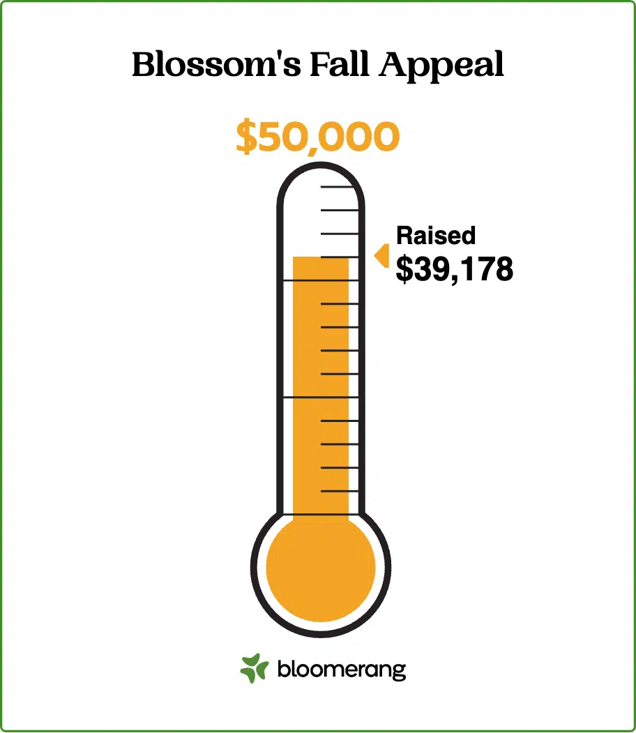 Fundraising thermometer template