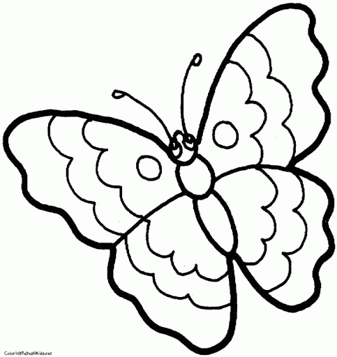 Coloring pages unicorn coloring printable kids print