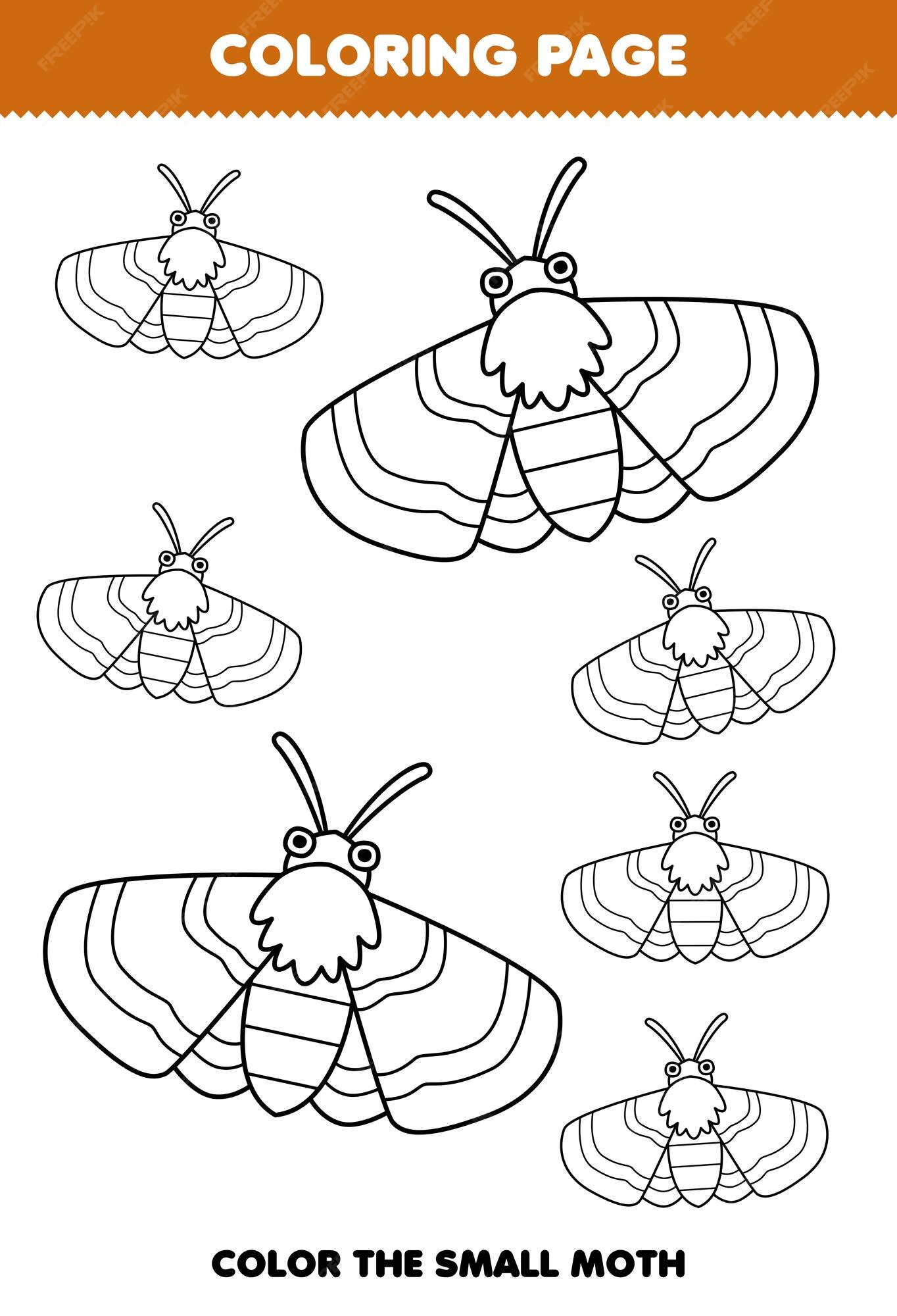 Premium vector education game for children coloring page big or small picture of cute cartoon moth line art printable bug worksheet