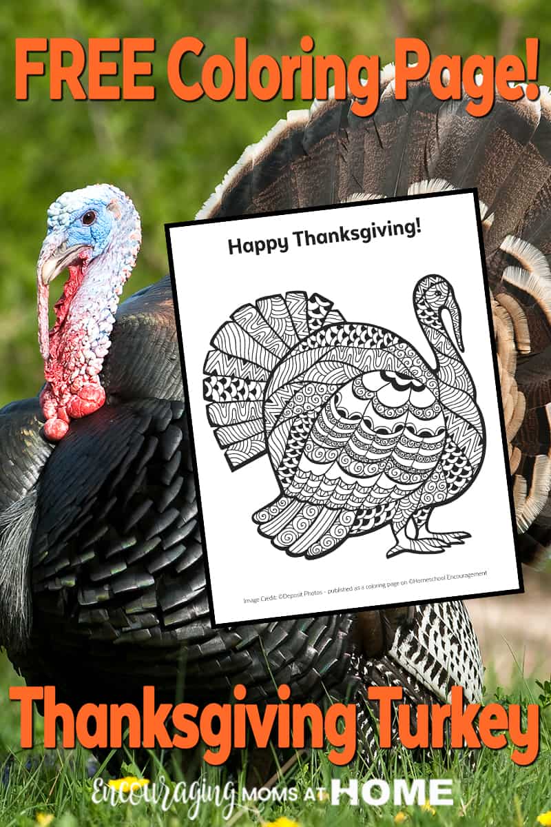 Free turkey coloring page for thanksgiving