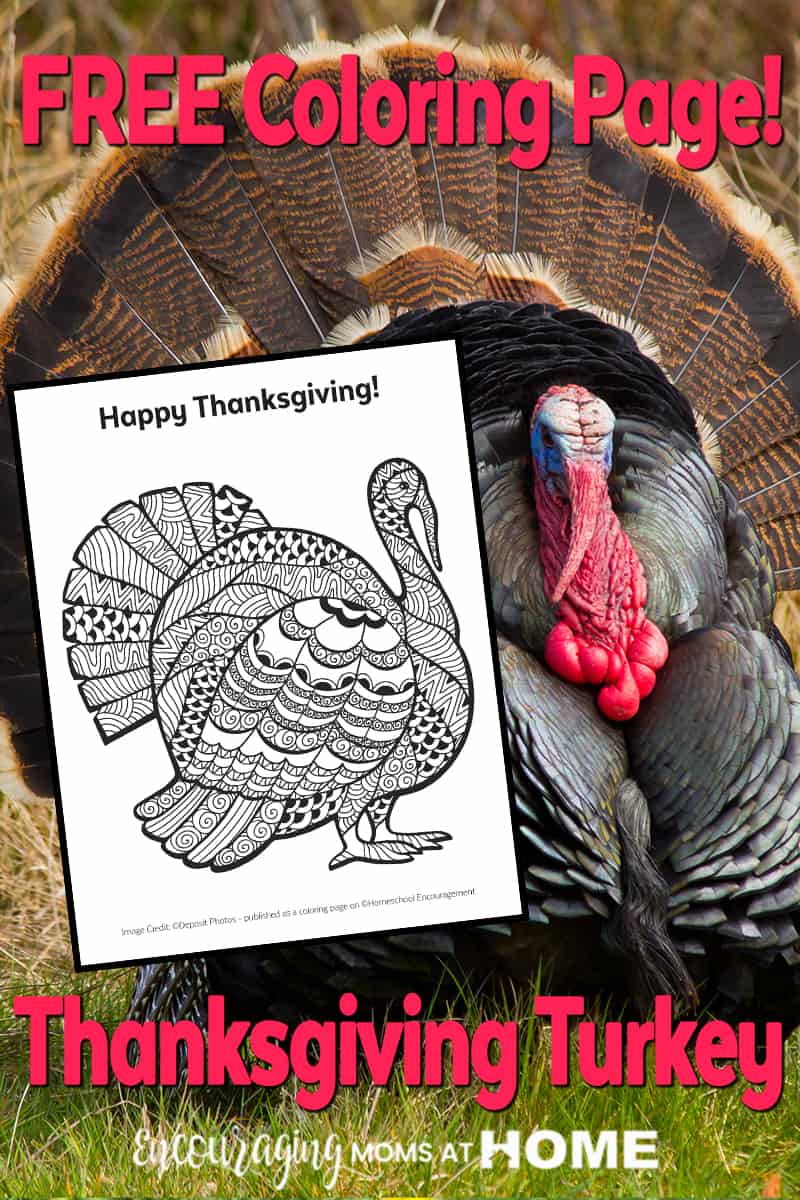 Free turkey coloring page for thanksgiving