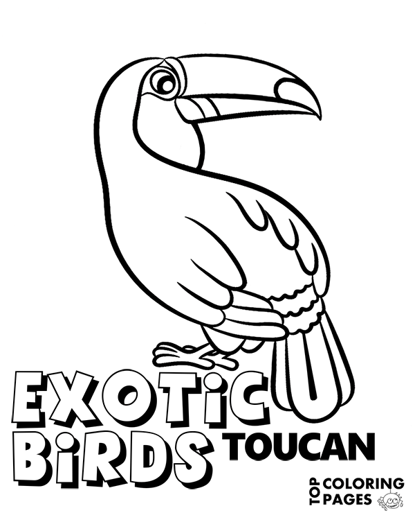 Exotic birds