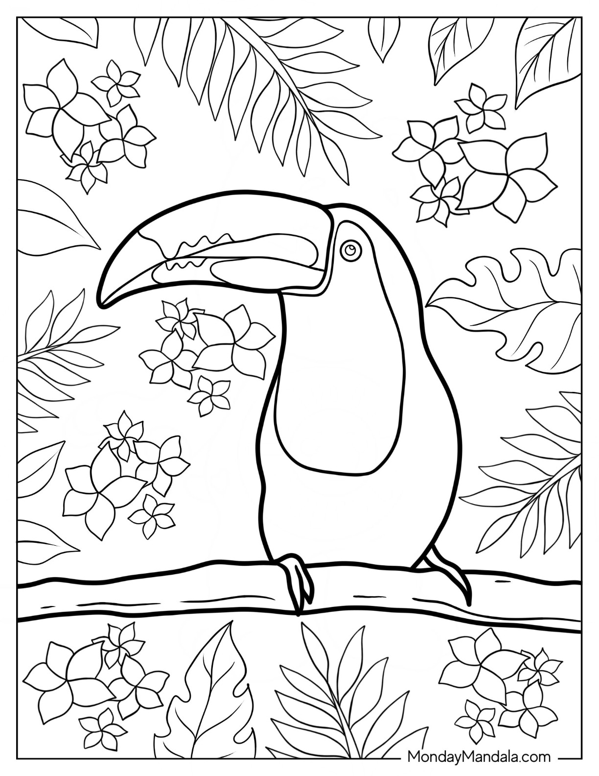 Toucan coloring pages free pdf printables