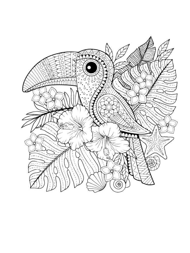 Toucan coloring pages for adults