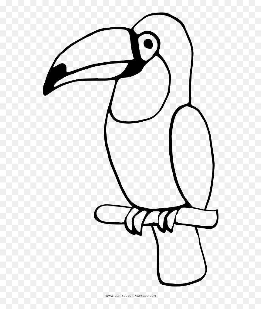 Toucan coloring page