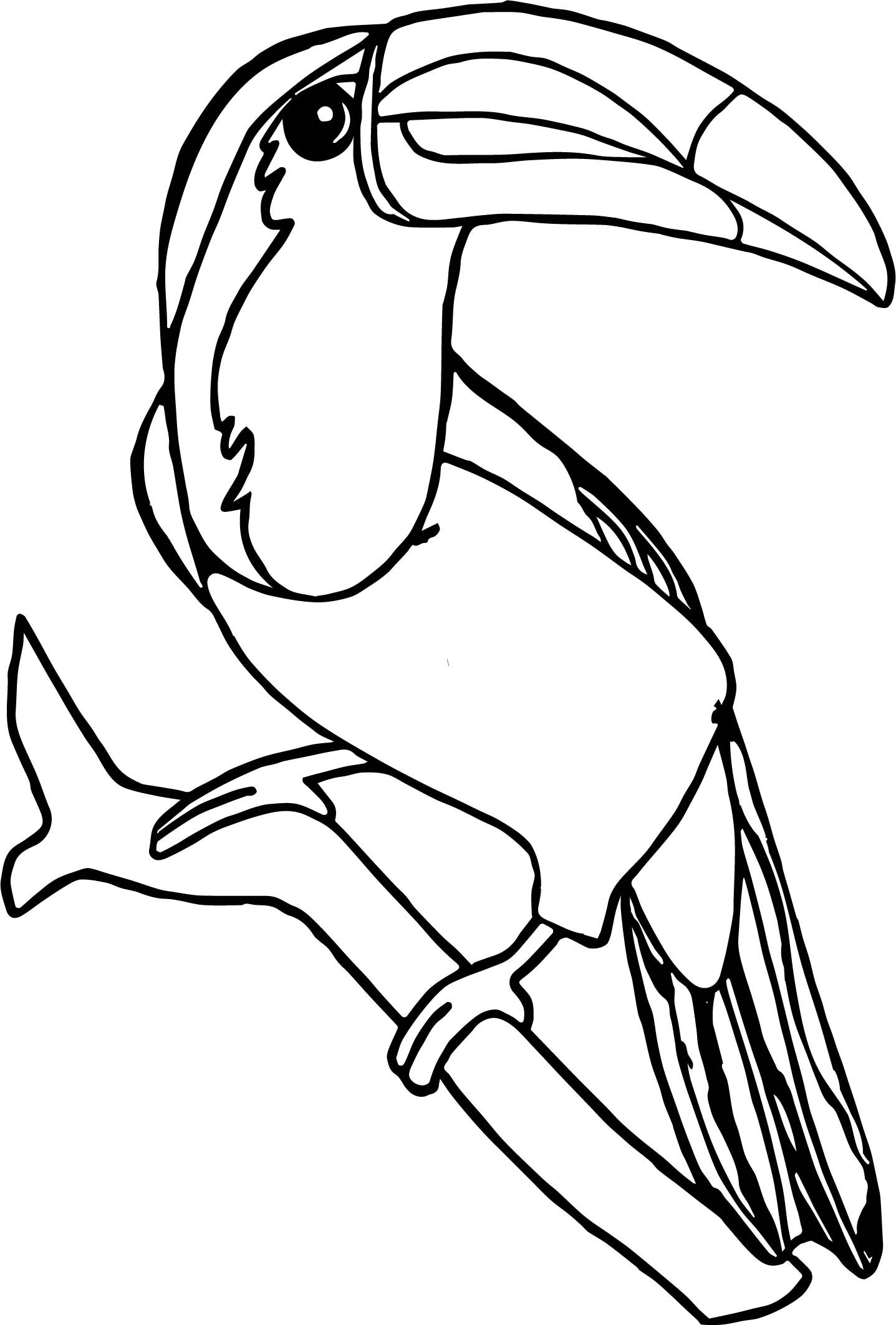 Rainforest toucan bird coloring page