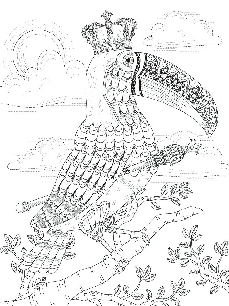 Toucan coloring pages
