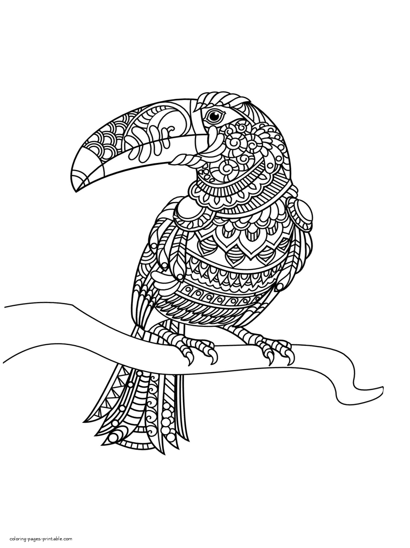 Toucan coloring page for adults coloring