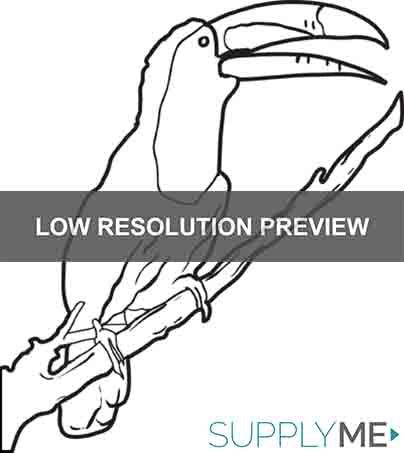 Printable toucan coloring page for kids â