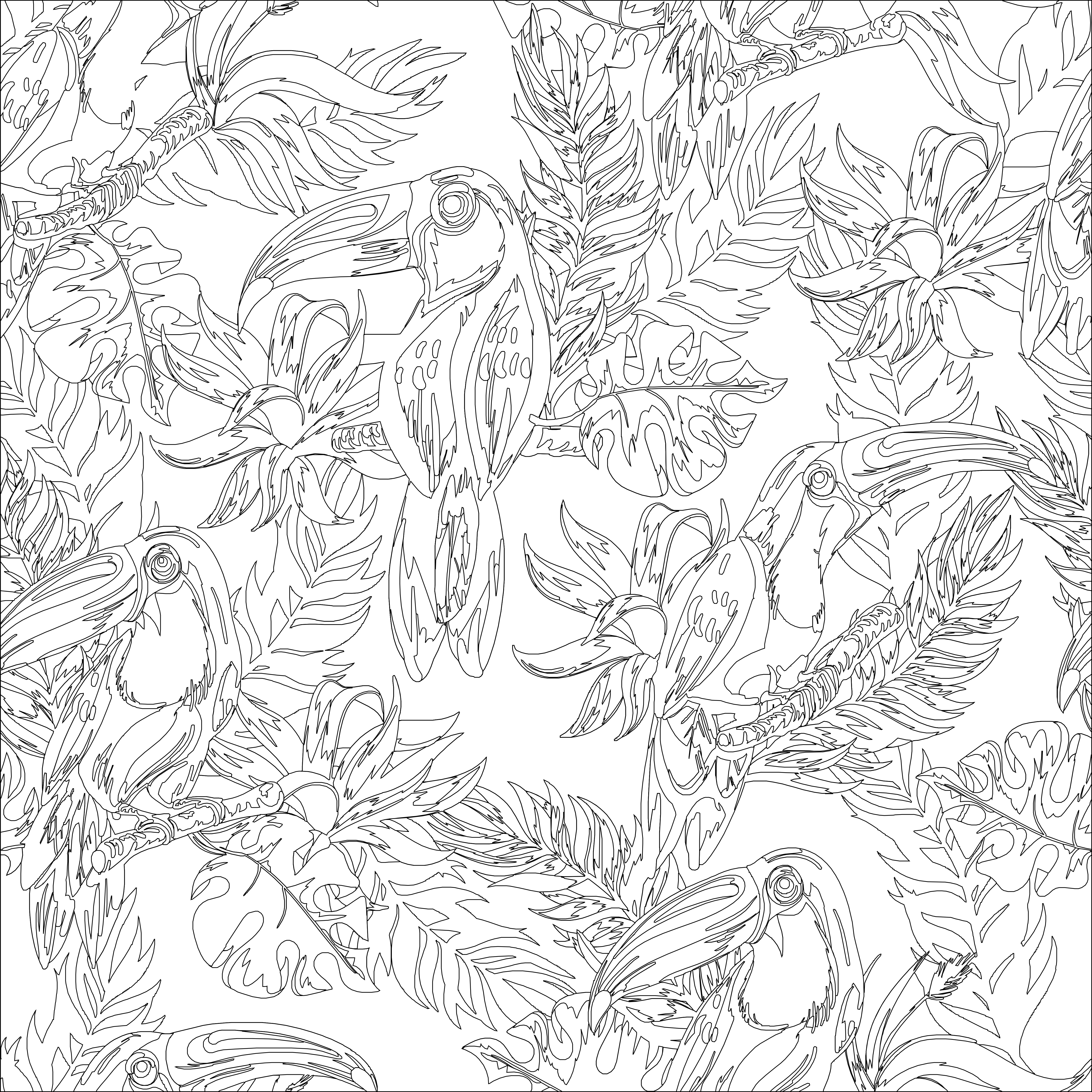 Adult toucan coloring page