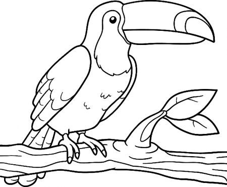 Printable coloring pages bird coloring pages toucan art coloring pages