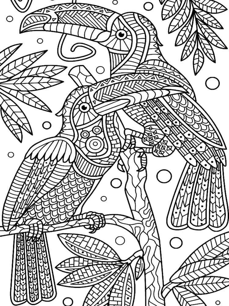 Toucan coloring pages for adults