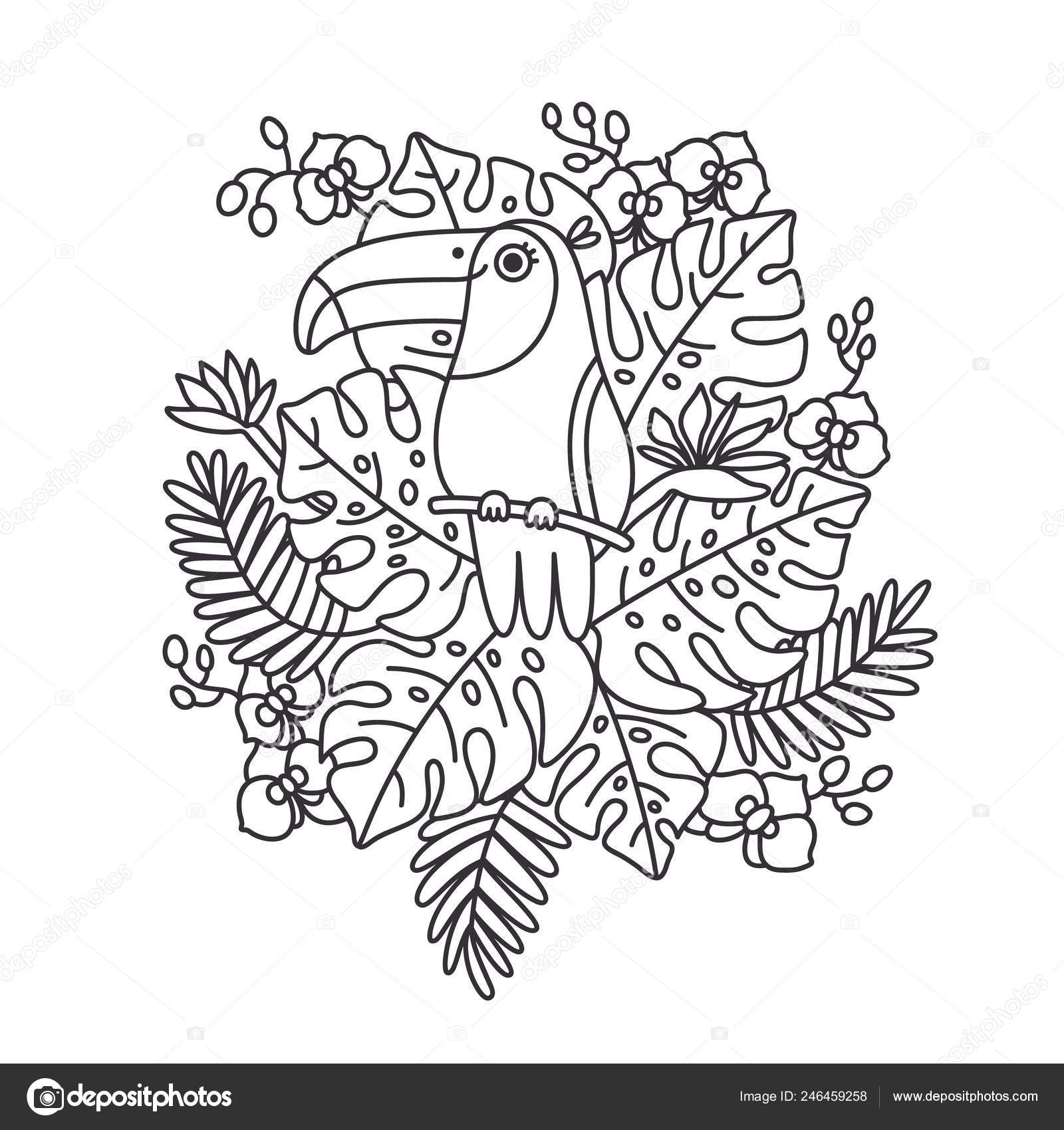 Toucan bird sitting branch tropical leaves flowers print coloring book stock vector by viaire