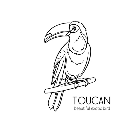 Toucan coloring page cliparts stock vector and royalty free toucan coloring page illustrations