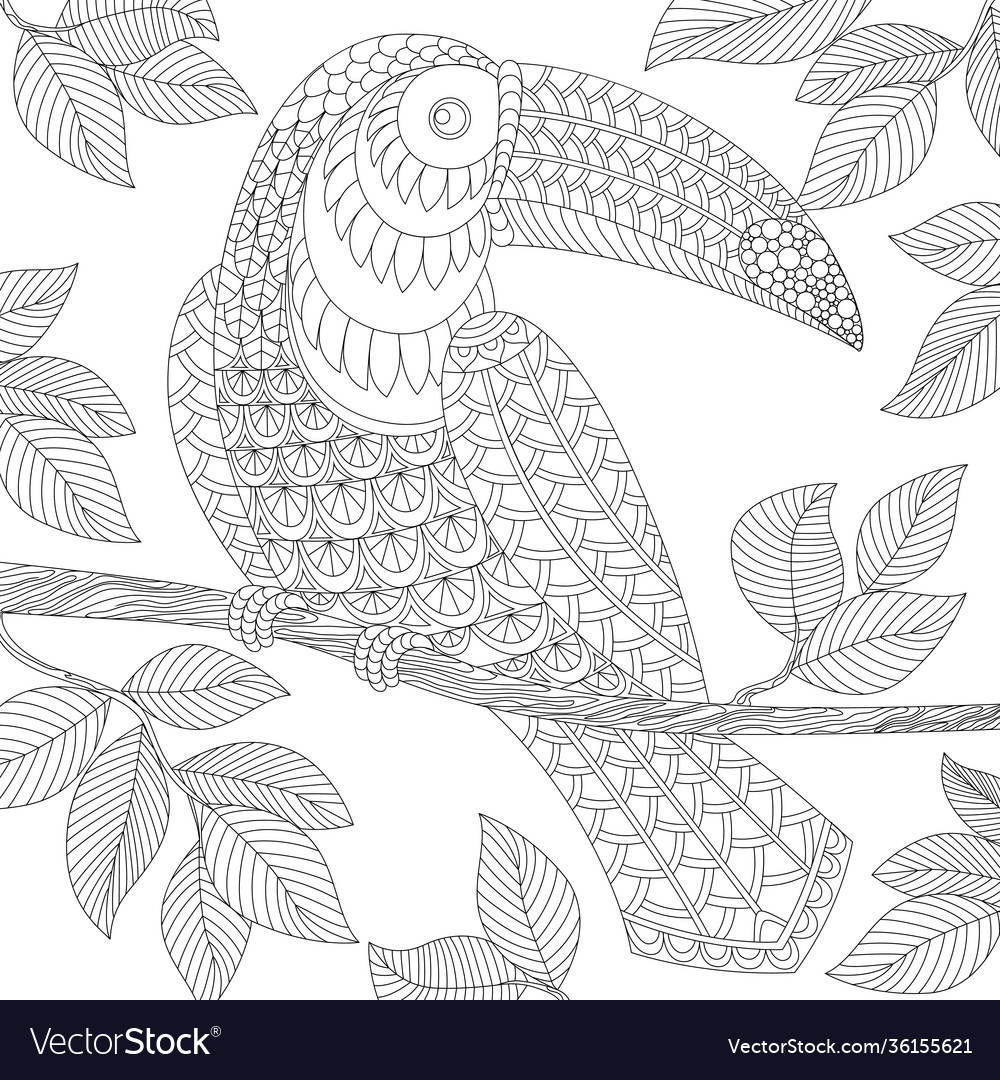 Toucan adult antistress coloring page royalty free vector
