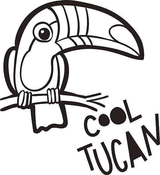 Toucan coloring page stock illustrations royalty