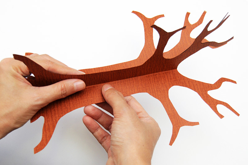 Tree trunk free printable templates coloring pages
