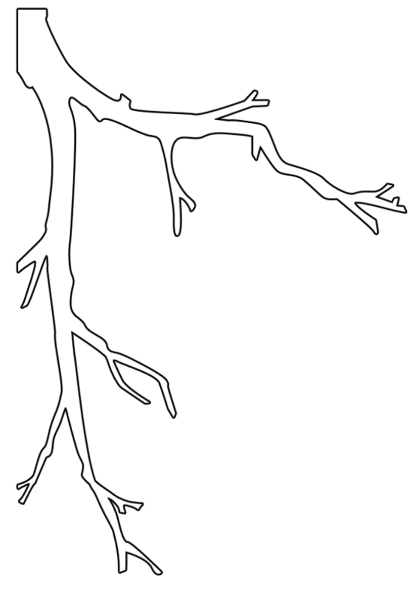 Free printable tree branch template