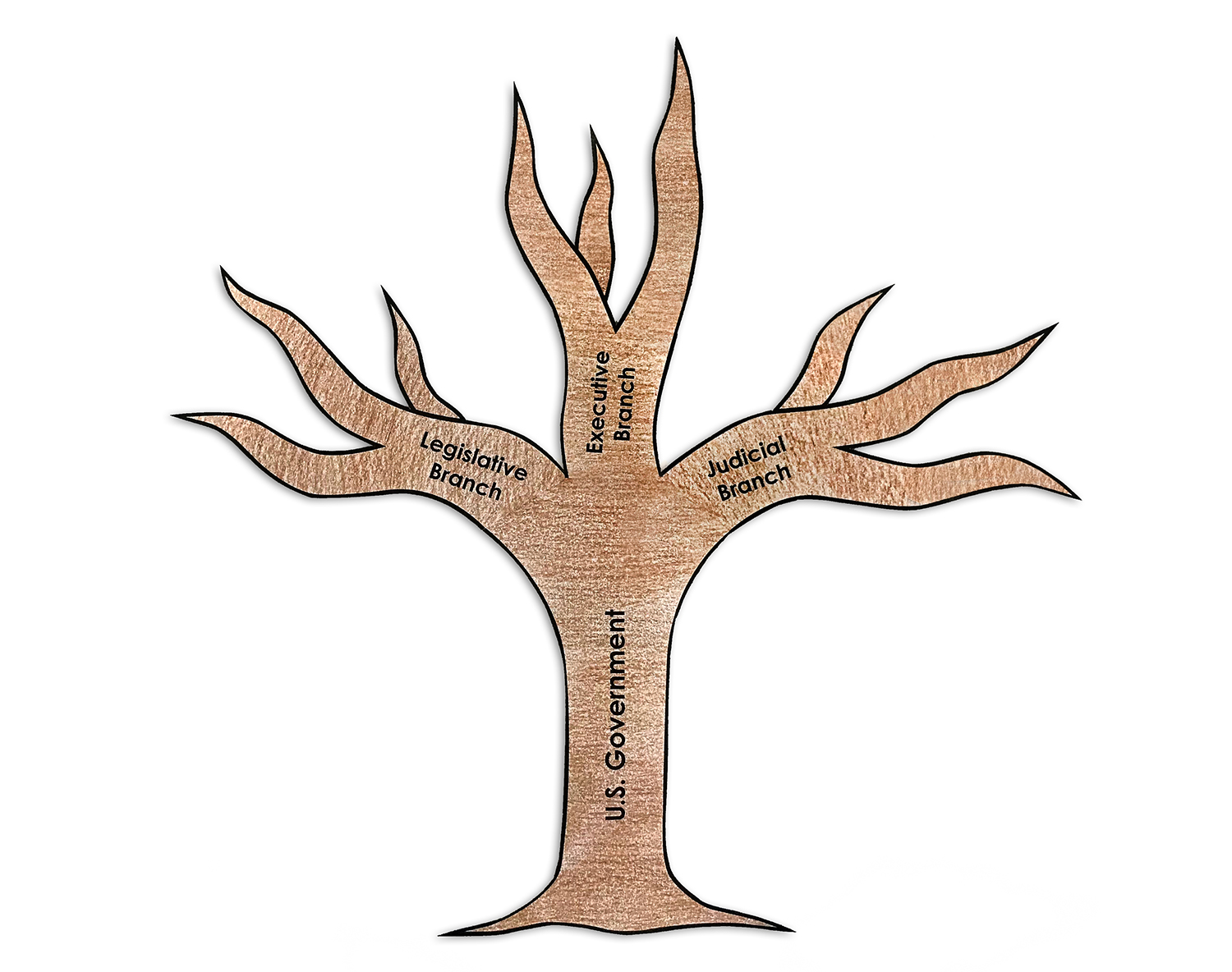 Tree branches of government