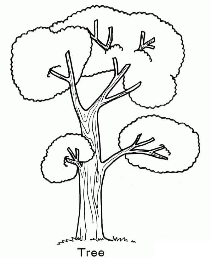 The tree spread its leaves coloring page