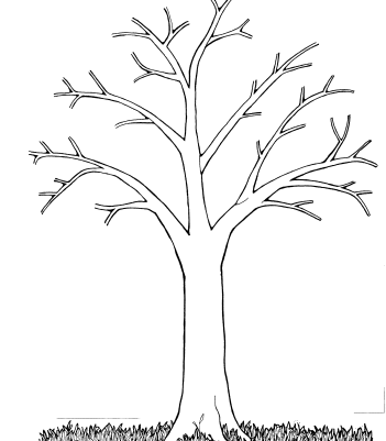 Trees without leaves coloring pages tree coloring page leaf coloring page picture tree